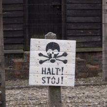 Encouragement to Keep Going From Holocaust Survivor Viktor Frankl