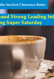 Demand Strong Leading Into Spring Super Saturday - featured image