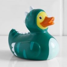 Dinosaur or Duck?